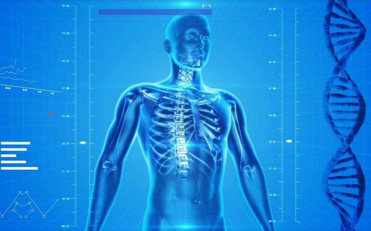 Human skeleton 163715 1280 1200x675 Human skeleton 163715 1280 1200x675